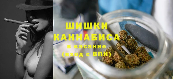 дживик Абаза