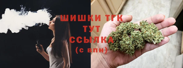 дживик Абаза