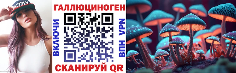 Псилоцибиновые грибы Psilocybine cubensis  наркошоп  Красавино 